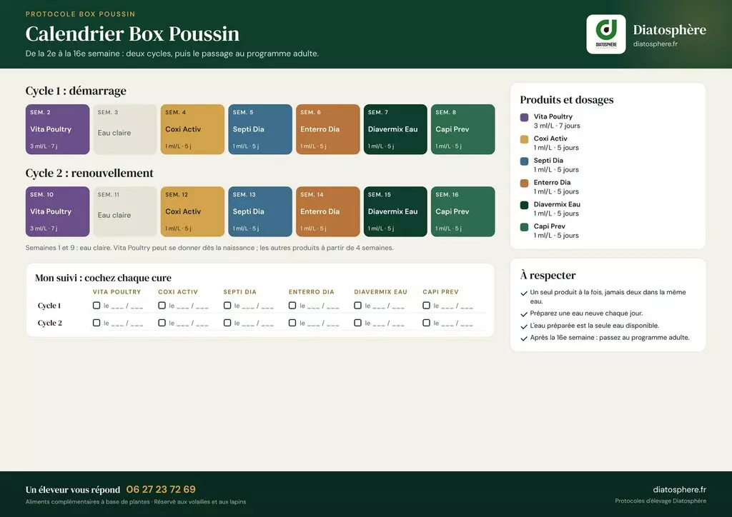 Calendrier protocole poussin Diatosphère — programme Box Poussin de la semaine 2 à la semaine 16, 6 produits naturels, 2 cycles puis passage adulte