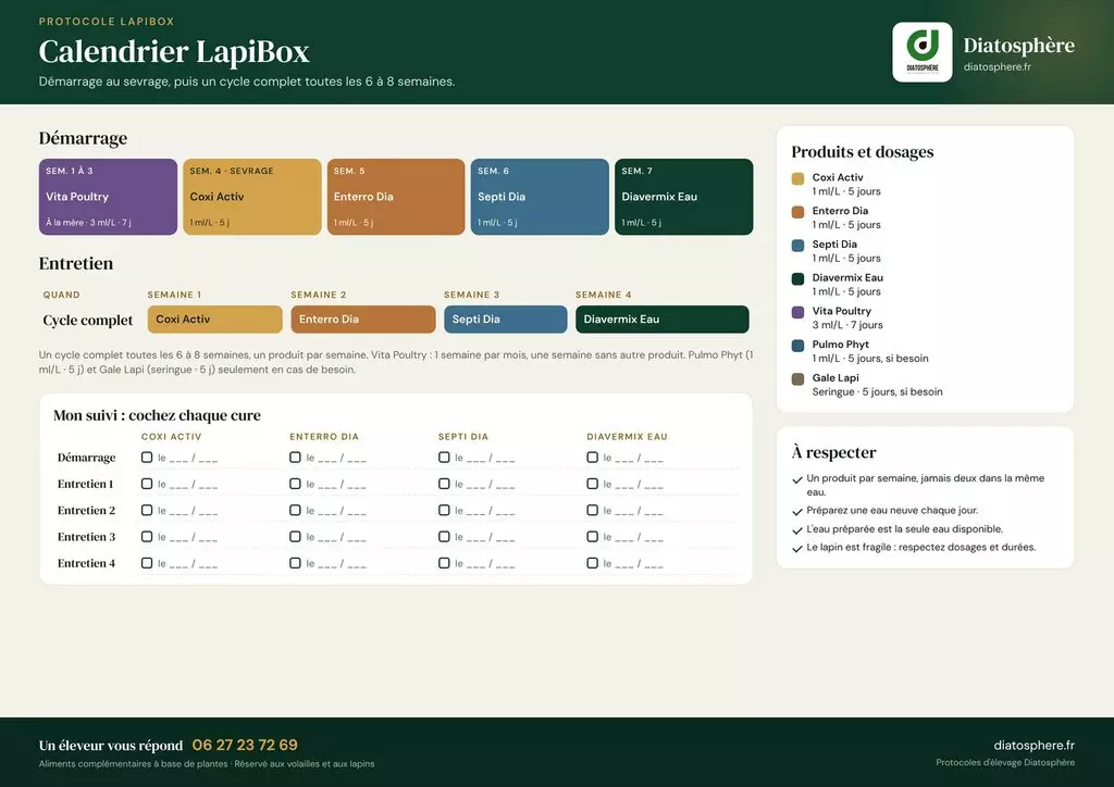 Calendrier protocole lapin LapiBox Diatosphère — programme de démarrage sevrage, entretien et signes d'alerte avec les 7 produits naturels