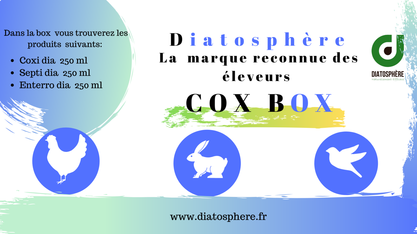 Cox Box Soins internes Diatosphere