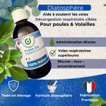 Décongestion respiratoire naturelle contre le rhume et la toux chez les poules et volailles