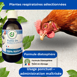 Formule naturelle sans antibiotiques pour la décongestion respiratoire des volailles