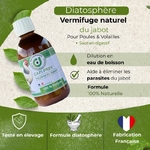 hygiene-naturelle-de-la-trachee-contre-les-vers-capillaires-chez-les-poules-1