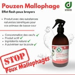 pouzen-mallophage-contre-les-poux-mallophage-et-les-poux-broyeur