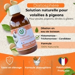 solution-naturelle-pour-histomonose-trichomonose-et-candidose-chez-volailles-et-