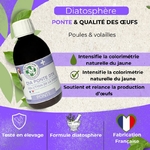 detoxification-naturelle-du-foie-chez-les-poules-et-volailles-pour-soutenir-la-f