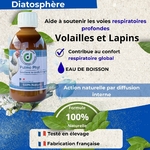 Coryza du lapin et de al poules