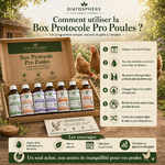 Bien-être naturel pour vos poules