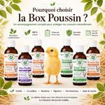 Un protocole clé en main pour protéger vos poussins