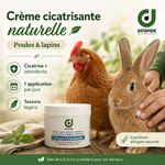 creme cicatrisant  poule et lapin