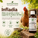 produit infladia  qui permet de lutter contre les coups de chaleur  et baisse  la tempèrature du corps des volailles