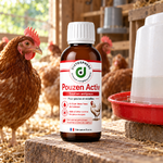 Pouzen Activ Diatosphère à côté de l’abreuvoir au poulailler pour poules et volailles