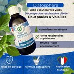 Décongestion respiratoire naturelle contre le rhume et la toux chez les poules et volailles