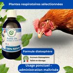 Formule naturelle sans antibiotiques pour la décongestion respiratoire des volailles