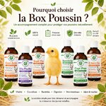 Un protocole clé en main pour protéger vos poussins