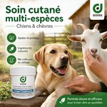 Crème cicatrisante multi-espèces appliquée sur un chien et une chèvre
