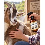 Application du spray Capri Poux Diatosphère sur une chèvre à la ferme