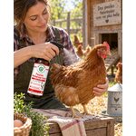 Application du spray Pouzen Mallophage Diatosphère sur une poule contre les poux mallophages