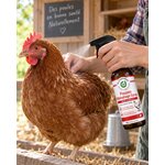 Application de Pouzen Mallophage Spray sur une poule rousse au poulailler