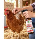 Gale Patte et Plume Diatosphère application sur les plumes d’une poule