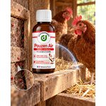 Pouzen Air pour poulailler avec présence de poux rouges dans les fissures et zones de repos des poules