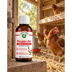Pouzen Air Diatosphère dans un poulailler infesté de poux rouges avec poules pondeuses