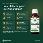 Diavermix Eau pour poules, poussins, canards, dindes, oies, pintades, pigeons et lapins