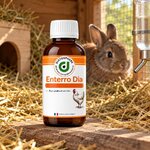 Enterro Dia, flacon posé dans le clapier près d’un lapin nain