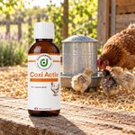 Coxi Activ, flacon posé près de labreuvoir des poules et des poussins