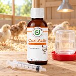 Coxi Activ et sa seringue doseuse fournie, près de labreuvoir des poussins