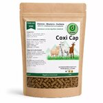 Sachet de Coxi Cap Diatosphère, aliment complémentaire pour chèvres, moutons et cochons