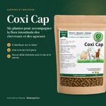 Coxi Cap : six plantes pour la flore intestinale des chevreaux et des agneaux au sevrage