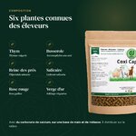 Composition de Coxi Cap : thym, busserole, reine-des-prés, salicaire, rose rouge, verge dor