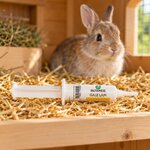 Gale Lapi, seringue applicatrice de 10 ml Diatosphère, dans le clapier près d'un lapin