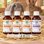 LapiBox Diatosphère : Coxi Activ, Enterro Dia, Septi Dia, Vita Poultry et la seringue Gale Lapi