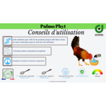 Coriza de la poule et du lapin soigner par traitement naturel - Plaquette de conseils dutilisation