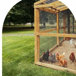 Cadre De Cage À Poules Cage De Protection Cage D'exercice Polyvalente