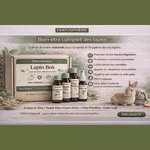 Coffret LapiBox Diatosphère