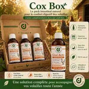 Coffret Cox Box Diatosphère