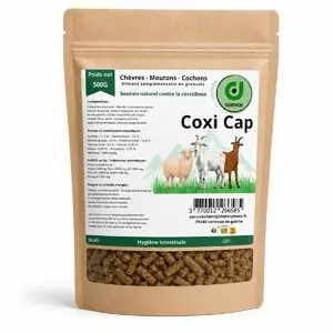 Sachet de Coxi Cap Diatosphère