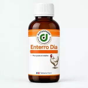 Flacon Enterro Dia Diatosphère
