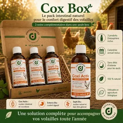 Coffret Cox Box