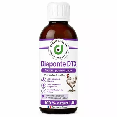 Flacon Diaponte DTX