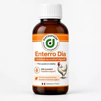 Flacon Enterro Dia