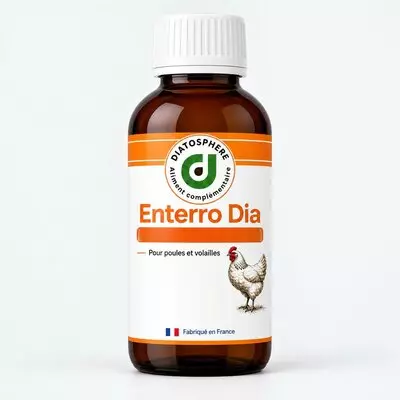 Flacon Enterro Dia