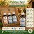 pulmo box soint complet pour traiter le coryza des poules