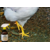 produit pour lutté contre la gale des pattes des poules -gale lapin -gale pour les animaux de la ferme -soin des pattes -santé des pattes
