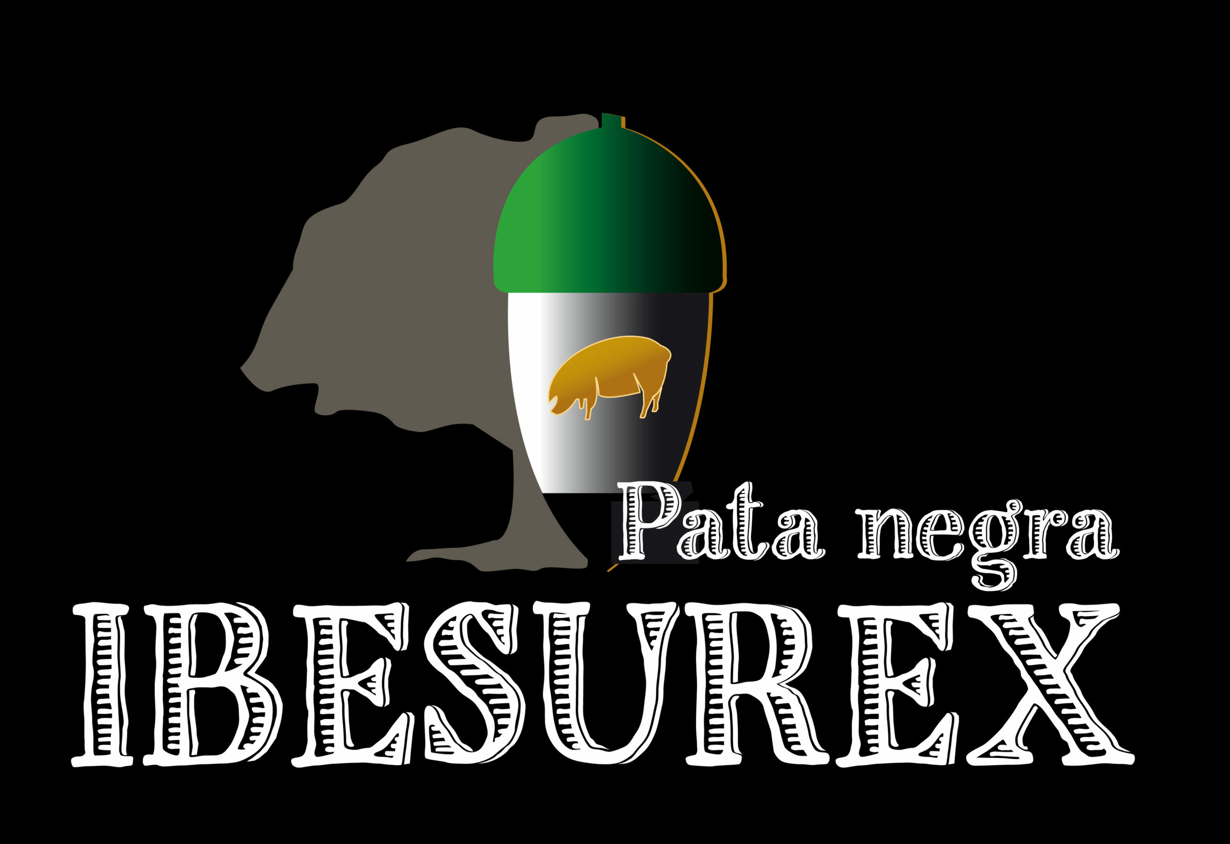 Ibesurex,jambom pata negra,jambon bellota