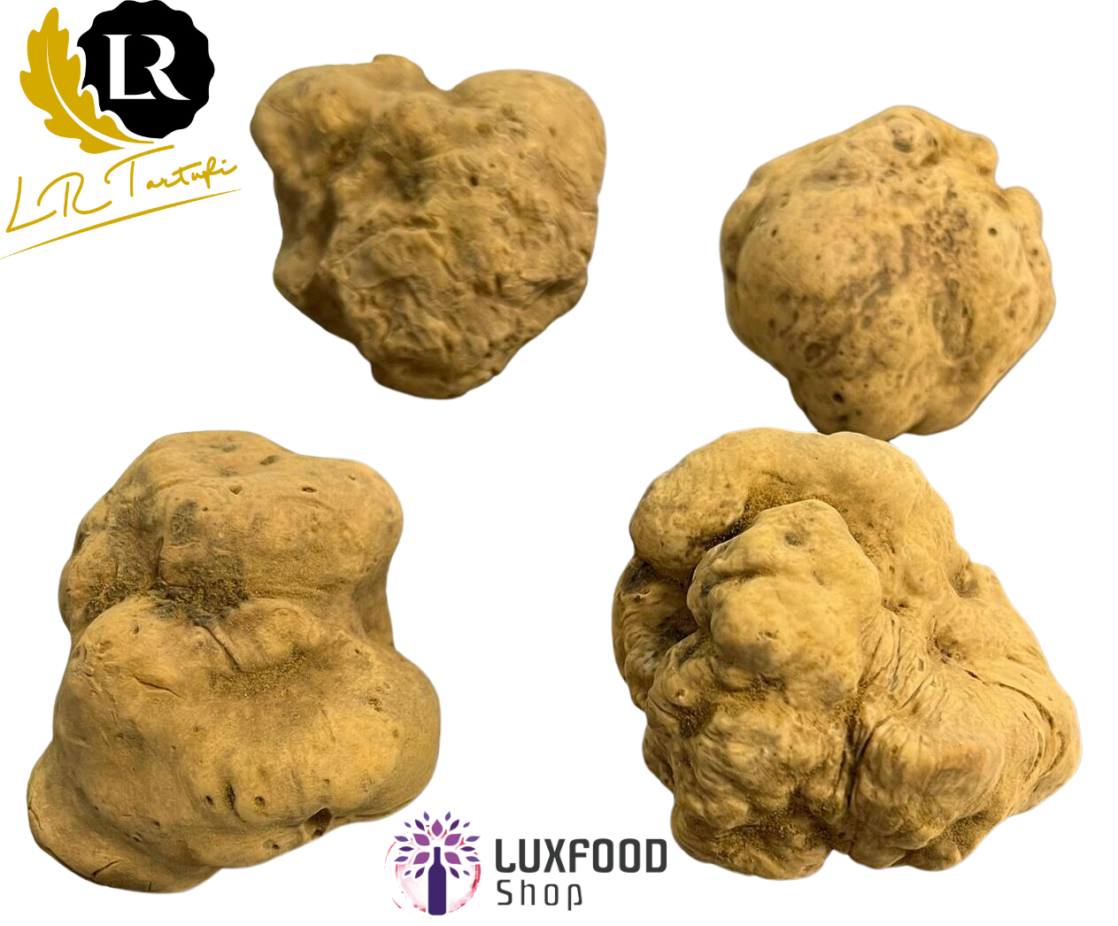 truffe blanche extra (Tuber magnatum Pico) LR Tartufi 2-2