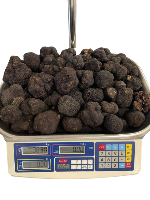 (Tuber melanosporum Vittadini) truffe noire 3-3 nov-mars - Modifié