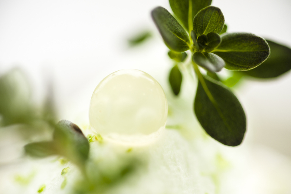 zoom perle dessert www luxfood shop fr